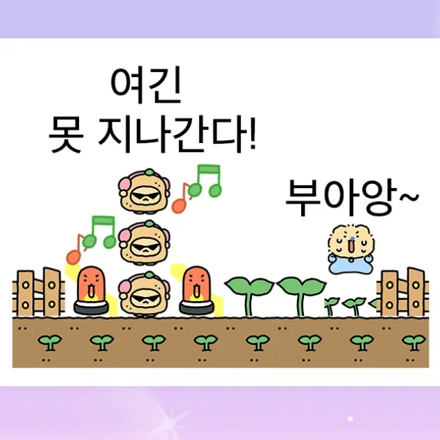 카카오 이모티콘